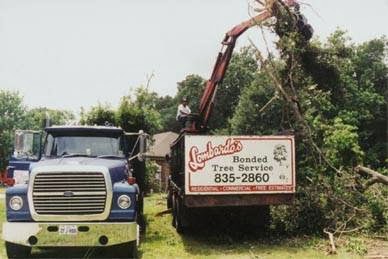 Lombardo's Bonded Tree Service, LLC