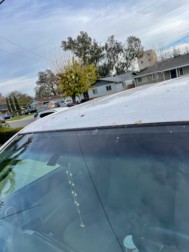 J&J Auto Detail en Live Oak