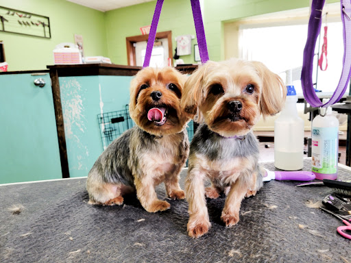 The Barking Lot Grooming Salon, LLC