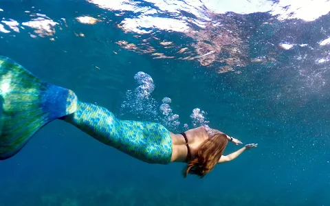 Hawaii Mermaid Adventures image