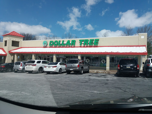 Dollar Store «Dollar Tree», reviews and photos, 1537 Bethlehem Pike, Hatfield, PA 19440, USA