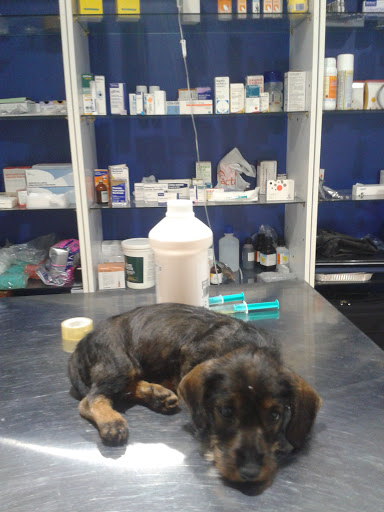 Centro Veterinario Espiel en Espiel