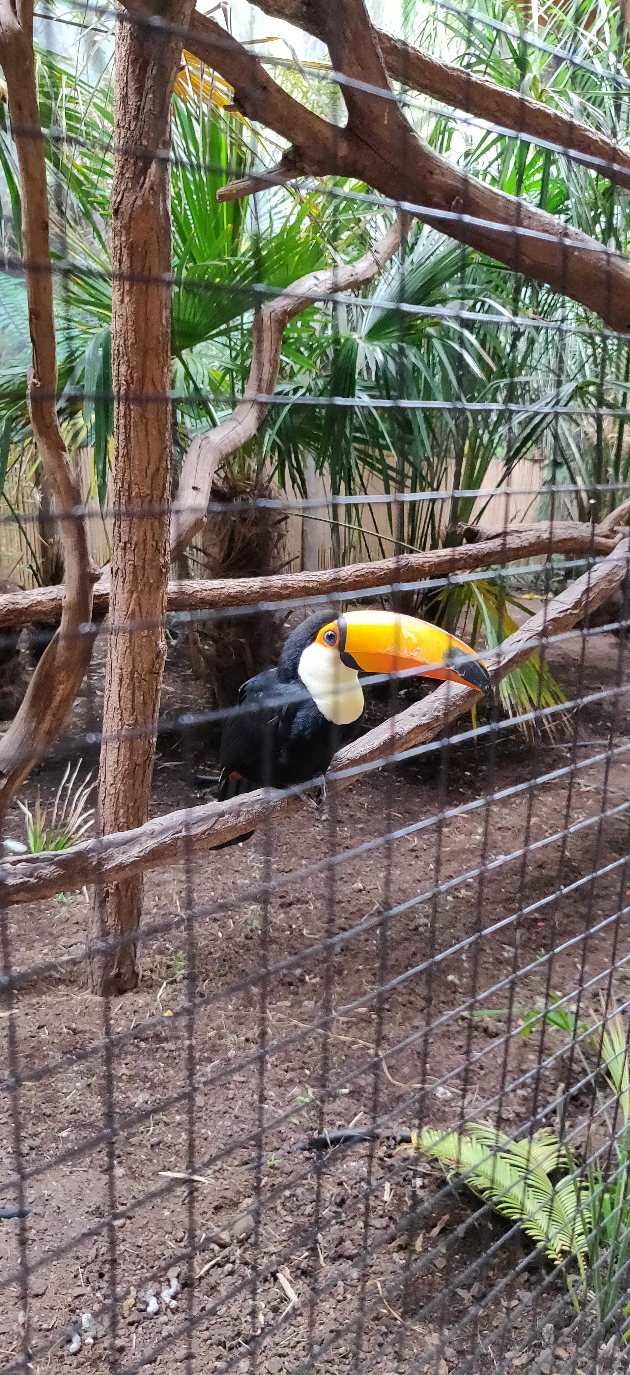 Photo n° 36 de l'avis de Frédéric.o fait le 15/11/2022 à 09:50