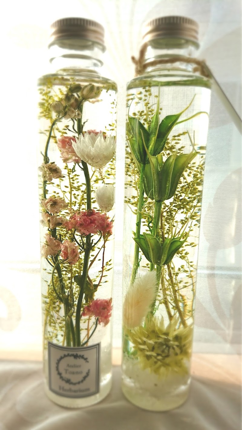 株 宇田花店 アルプラザ近江八幡店 滋賀県近江八幡市桜宮町 花屋 花 グルコミ