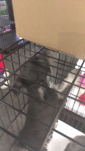 Pet Supply Store «Our Pet World», reviews and photos, 380 Semoran Commerce Pl, Apopka, FL 32703, USA