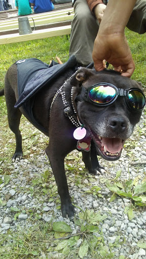 Tourist Attraction «The Great Lakes Medieval Faire», reviews and photos, 3033 OH-534, Rock Creek, OH 44084, USA