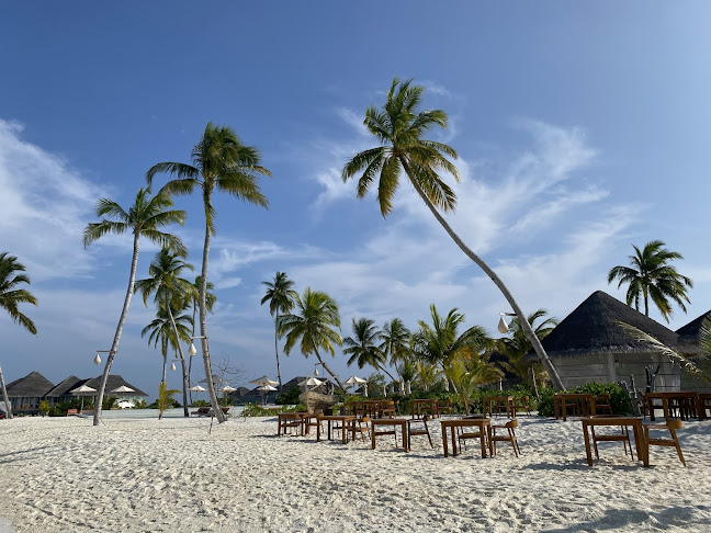 Reviews of Purely Maldives Ltd in Southampton - Travel Agency