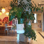 Photo n°1 de l'avis de Antonella. fait le 09/06/2023 à 21:33 sur le  Villa Rosa Riviera à Rimini