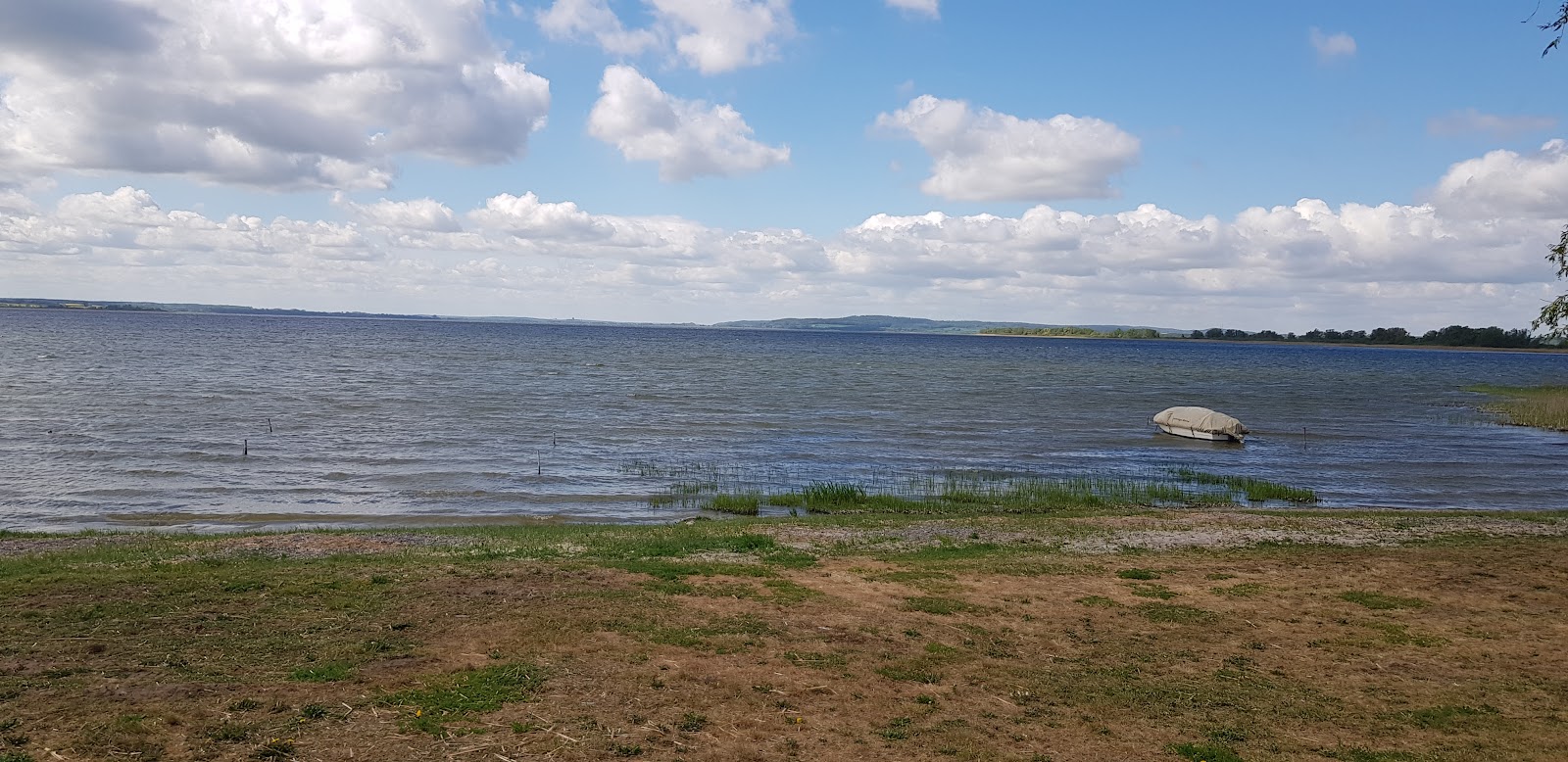 Photo de Hundebadestrand zone sauvage