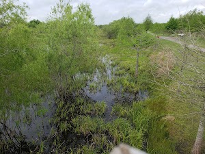 Shadow Creek Ranch Nature Trail - photo 5