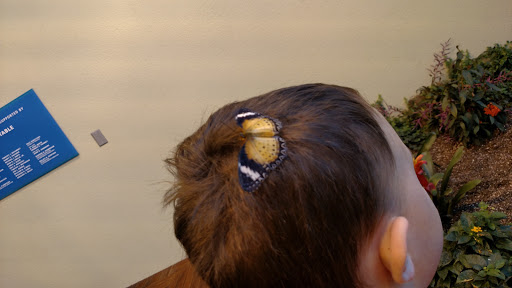 Science Museum «Connecticut Science Center», reviews and photos, 250 Columbus Blvd, Hartford, CT 06103, USA