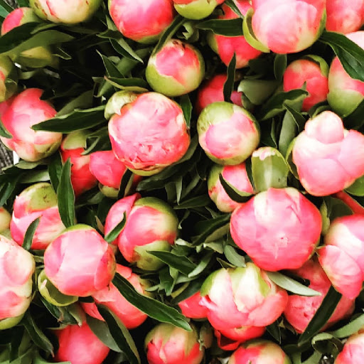 Florist «Westerville Florist», reviews and photos, 14 S State St, Westerville, OH 43081, USA