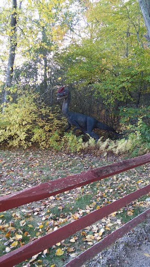 The Dinosaur Place at Natures Art Village - photo 61