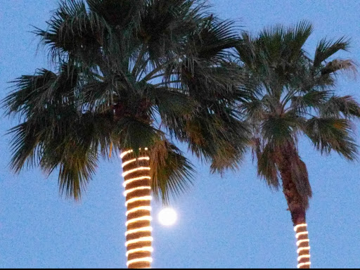 Hotel «Hampton Inn & Suites Las Vegas South», reviews and photos, 3245 St Rose Pkwy, Henderson, NV 89052, USA