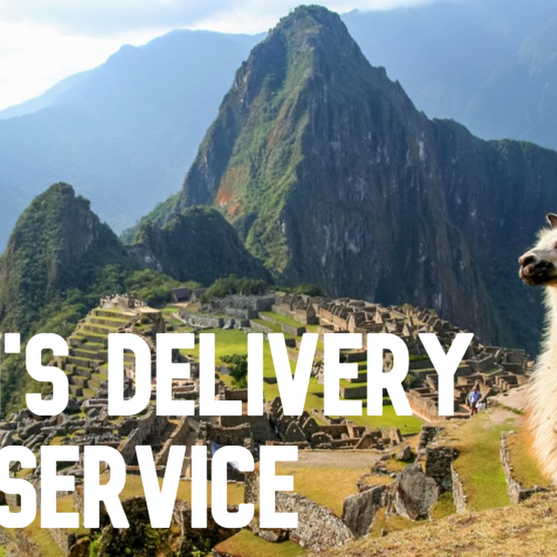Mimi's Delivery Service