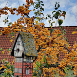 Photo n°1 de l'avis de Liso.a fait le 29/10/2022 à 15:22 sur le  Eggelmanns Hofcafe à Obernkirchen