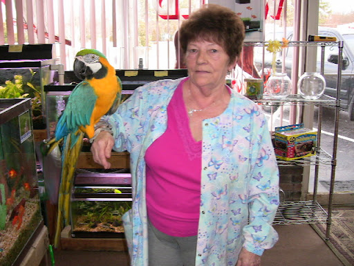 Pet Store «Boiling Springs Pet World», reviews and photos, 2651 Boiling Springs Rd, Spartanburg, SC 29316, USA