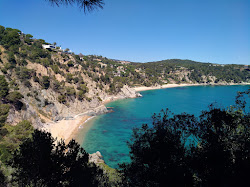 Foto di Spiaggia di Portopi con più baie spaziose