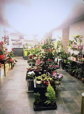 GISOU FLEURS à Mont-de-Marsan