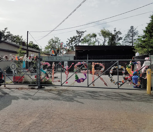 Bar «Sly Grog Lounge», reviews and photos, 271 Haywood St, Asheville, NC 28801, USA