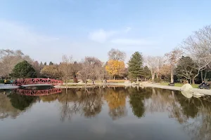 Lake of National Botanical Garden image