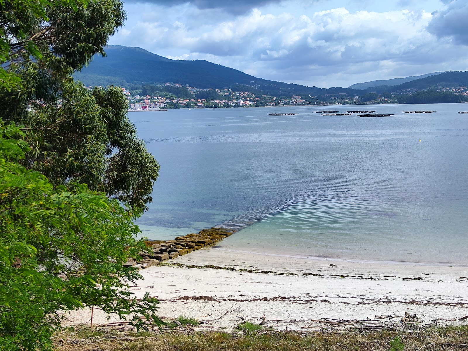 Praia Adreira'in fotoğrafı geniş bir kıyı şeridi ile birlikte