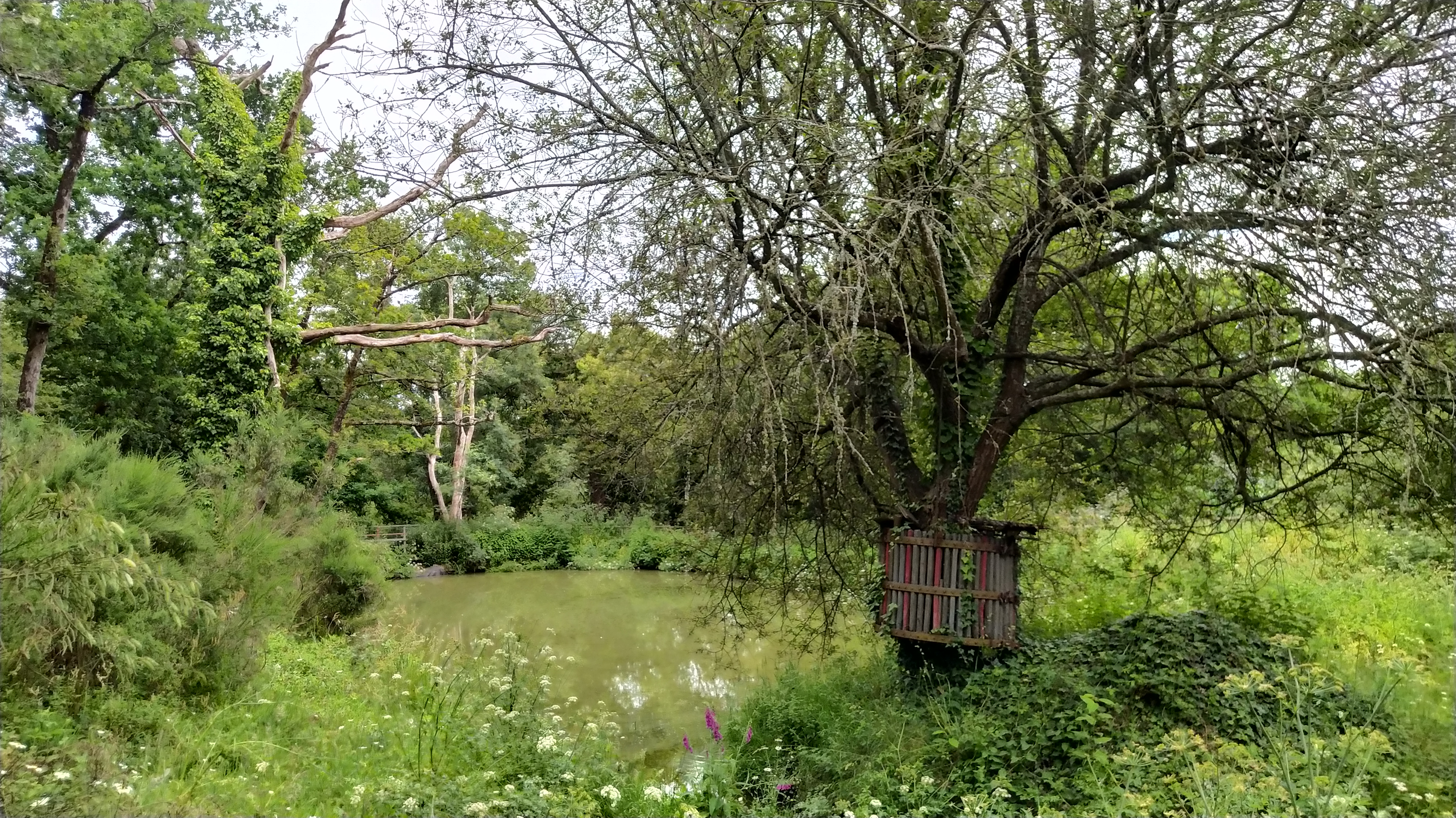 Photo n° 5 de l'avis de Thierry.e fait le 27/05/2022 à 19:22