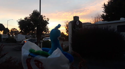 Shopping Mall «Valley West Shopping Center», reviews and photos, 5000 Valley W Blvd, Arcata, CA 95521, USA