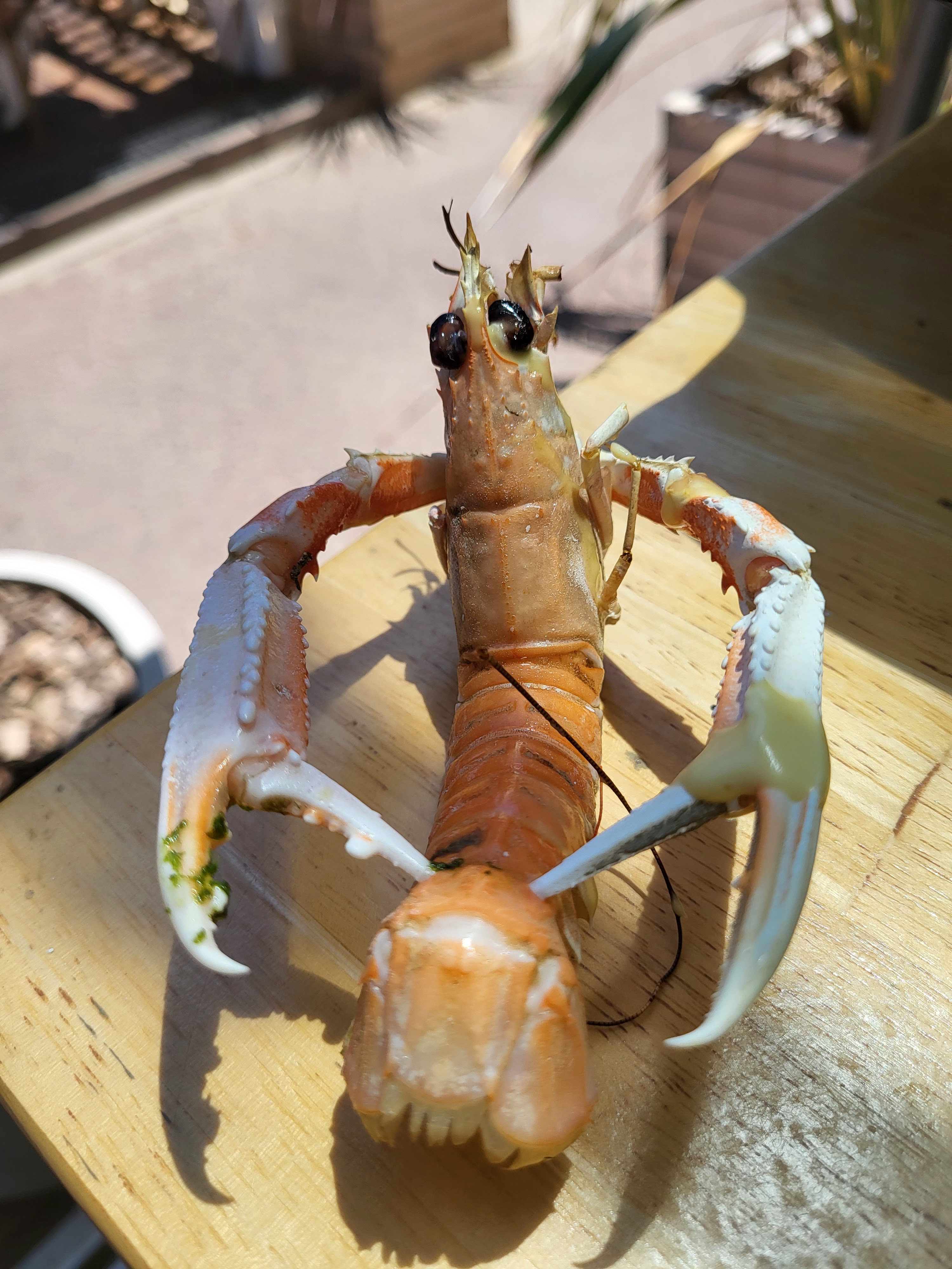 Photo n° 2 de l'avis de Veronique.a fait le 06/06/2022 à 06:46