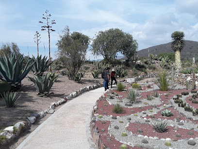 Jardín Botánico Olintepetl
