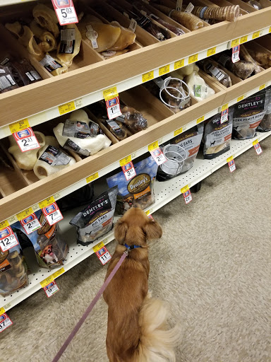 Pet Supply Store «PetSmart», reviews and photos, 857 N Val Vista Dr #106, Gilbert, AZ 85234, USA