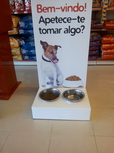 Dog boarding kennels in Oporto