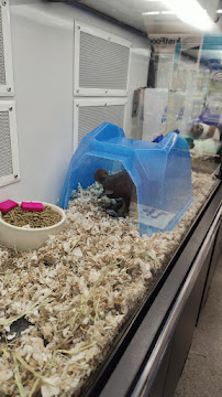 Petco - Photo 8 - Car repair in Menifee, CA, Menifee