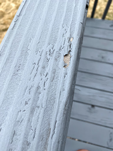 Painter «Painter1 of Utah County», reviews and photos, 947 1010 N #402, Orem, UT 84057, USA