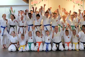 Muga Mushin Ryu - Karate Enschede, Hengelo en Borne image