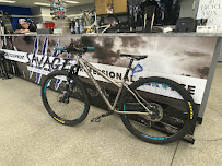 Savage Bicycles - Photo 4 - Car repair in Surprise, AZ, Glendale