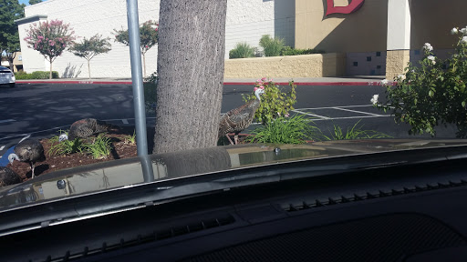 Clothing Store «Burlington Coat Factory», reviews and photos, 9175 E Stockton Blvd, Elk Grove, CA 95624, USA