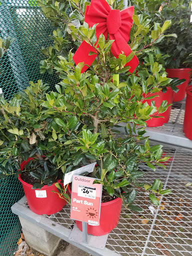 Home Improvement Store «The Home Depot», reviews and photos, 701 W Edgar Rd, Linden, NJ 07036, USA