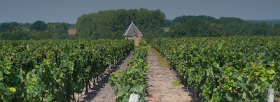 Domaine Viticole Nairaud-Suberville à Châteaumeillant
