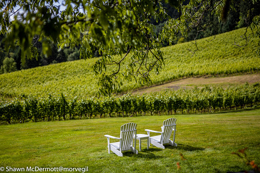 Winery «David Hill Vineyards & Winery», reviews and photos, 46350 NW David Hill Rd, Forest Grove, OR 97116, USA
