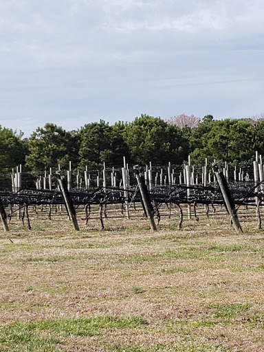 Winery «Williamsburg Winery, Ltd.», reviews and photos, 5800 Wessex Hundred, Williamsburg, VA 23185, USA