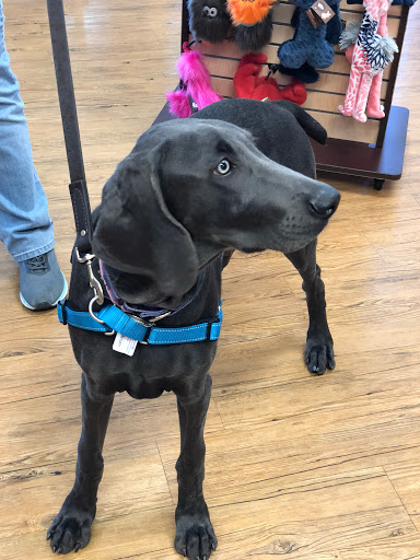 Pet Store «Bark Life Market», reviews and photos, 11220 Park Blvd N, Seminole, FL 33772, USA