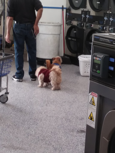 Laundromat «24/7 Laundry», reviews and photos, 1666 Indian Hill Blvd, Pomona, CA 91767, USA