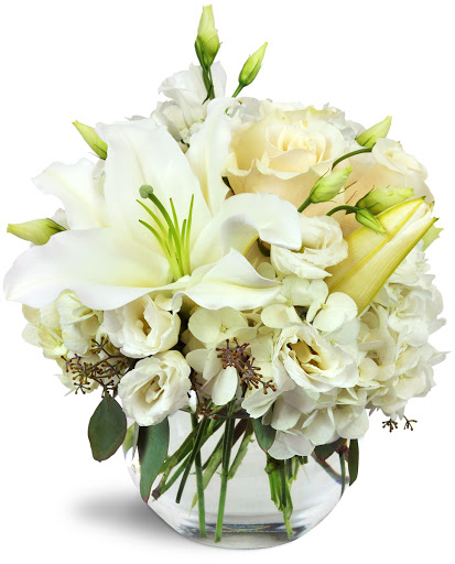 Florist «P Rogers & Co Florists», reviews and photos, 12 Pine Hill Ave, Stamford, CT 06906, USA