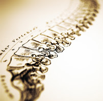 Dr Zachary Stockton- Pleasant Hill Chiropractor - Photo 2 - Car repair in Pleasant Hill, CA, Concord