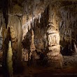 Naracoorte Caves - Wonambi Fossil Centre