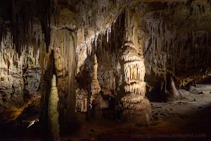 Naracoorte Caves - Wonambi Fossil Centre image