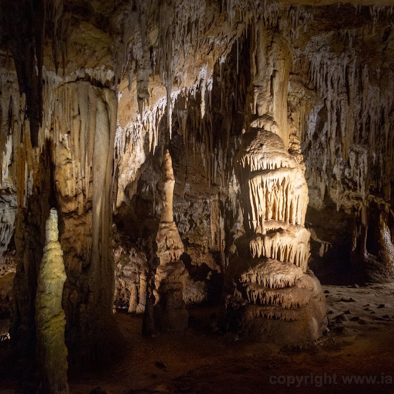 Naracoorte Caves - Wonambi Fossil Centre