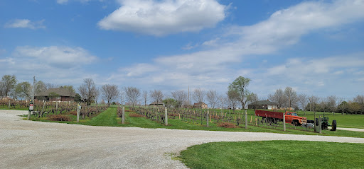 Vineyard «Stone Pillar Vineyard & Winery», reviews and photos, 11000 S Woodland St, Olathe, KS 66061, USA