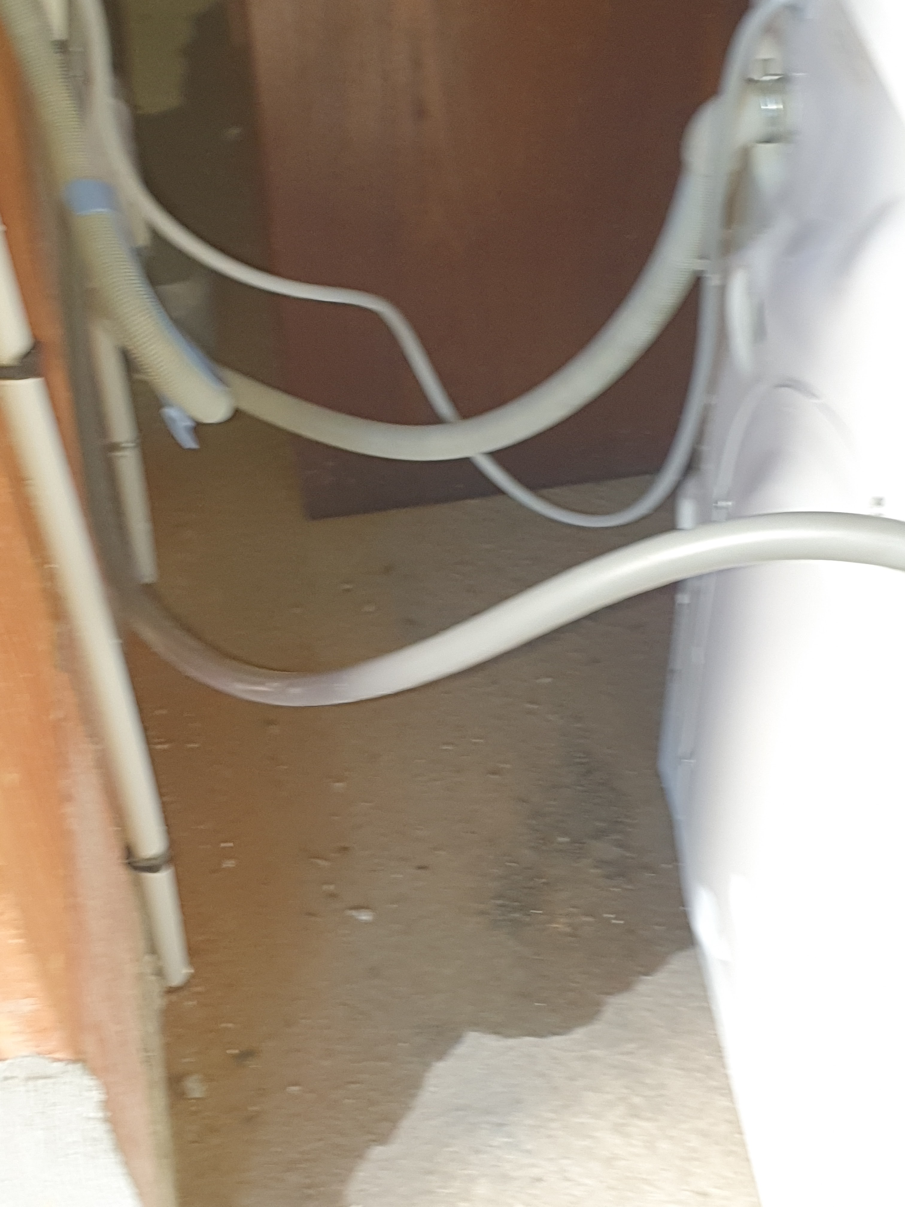 Photo n° 2 de l'avis de dhenain.e fait le 10/08/2021 à 11:27